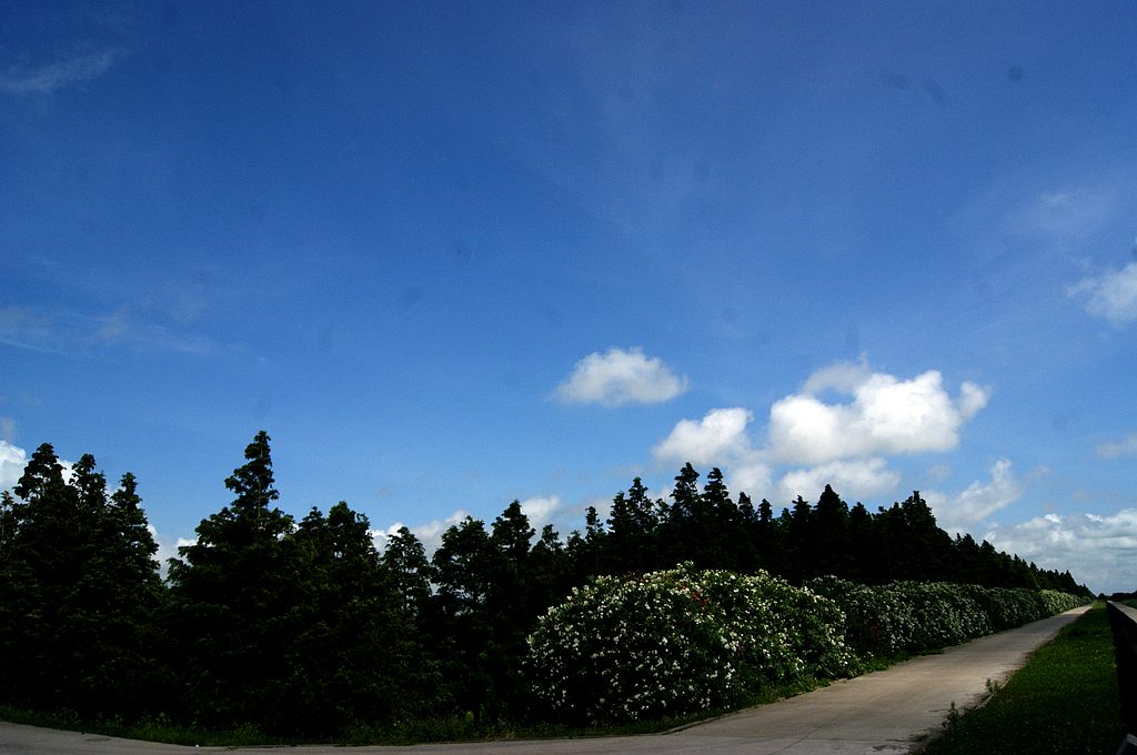 dsc00790.jpg