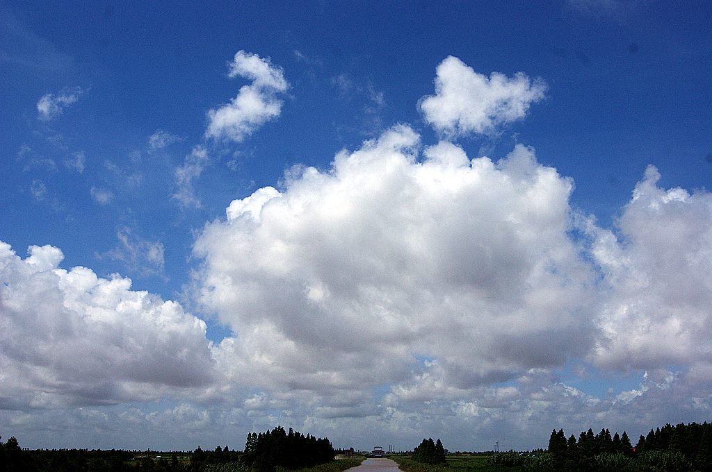 dsc00786.jpg