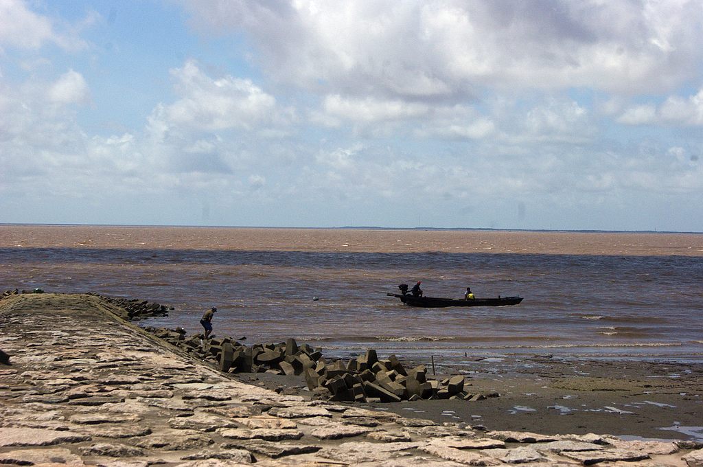 dsc00808.jpg