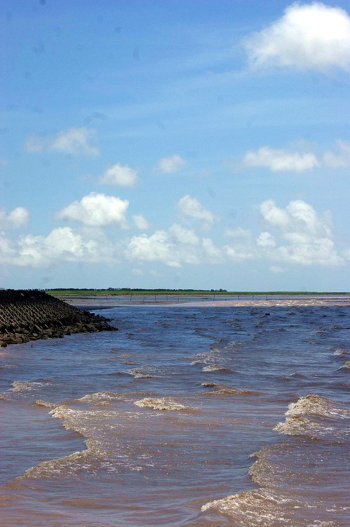 dsc00865.jpg