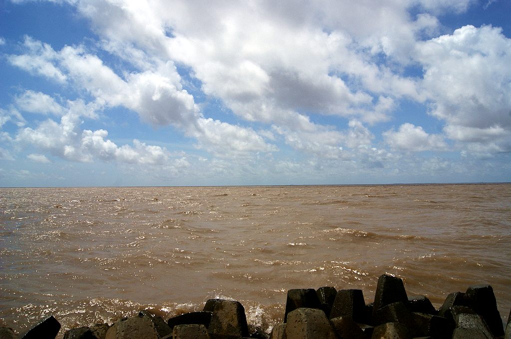 dsc00815.jpg