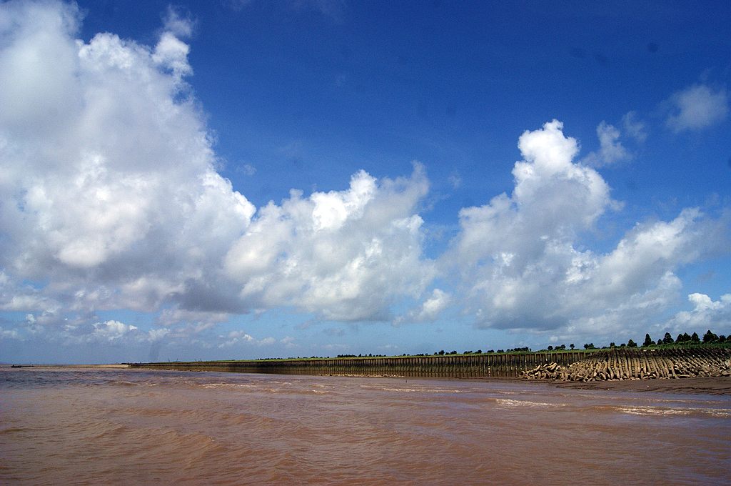 dsc00818.jpg