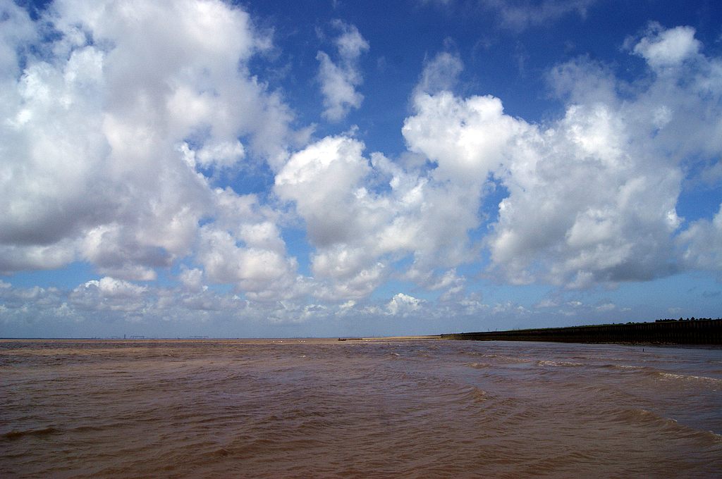 dsc00823.jpg