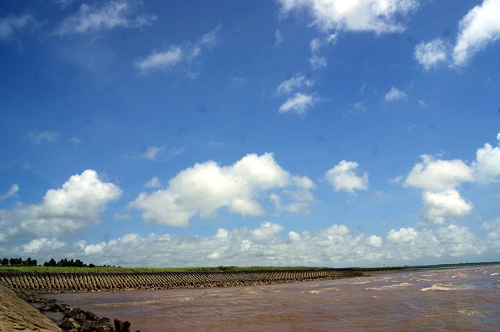 dsc00819.jpg