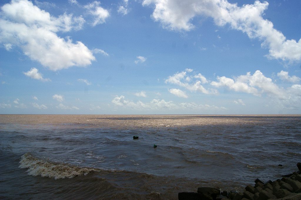 dsc00826.jpg