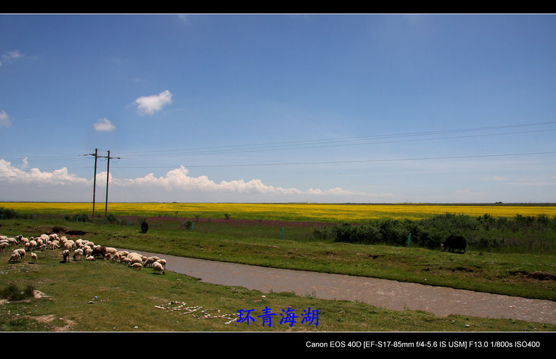 img_3847.jpg