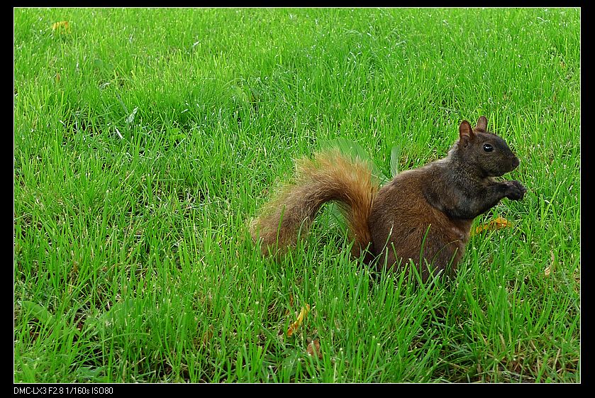 p1130439_neo_img.jpg