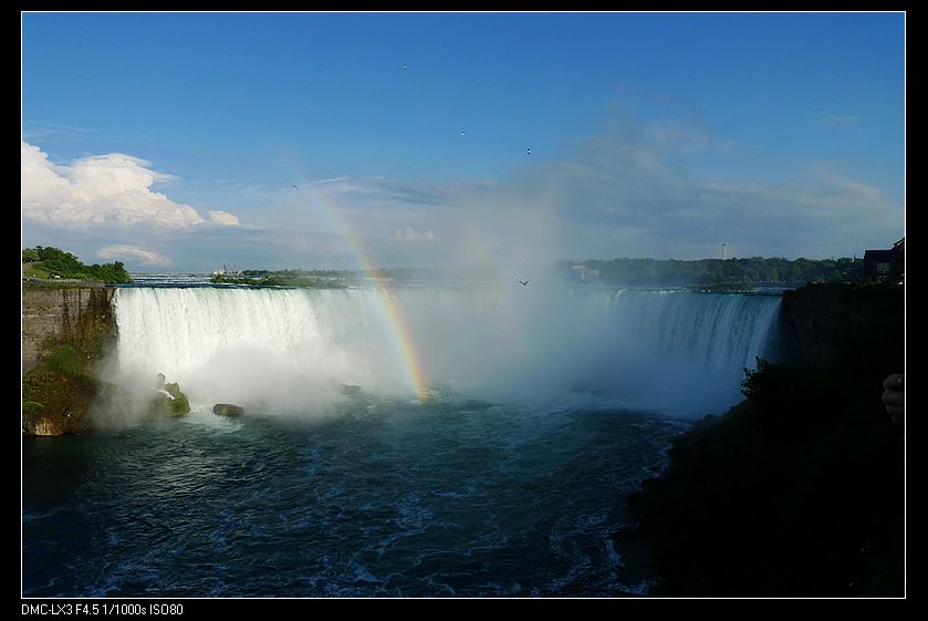 p1130503_neo_img.jpg