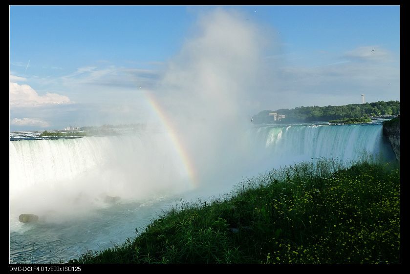 p1130511_neo_img.jpg