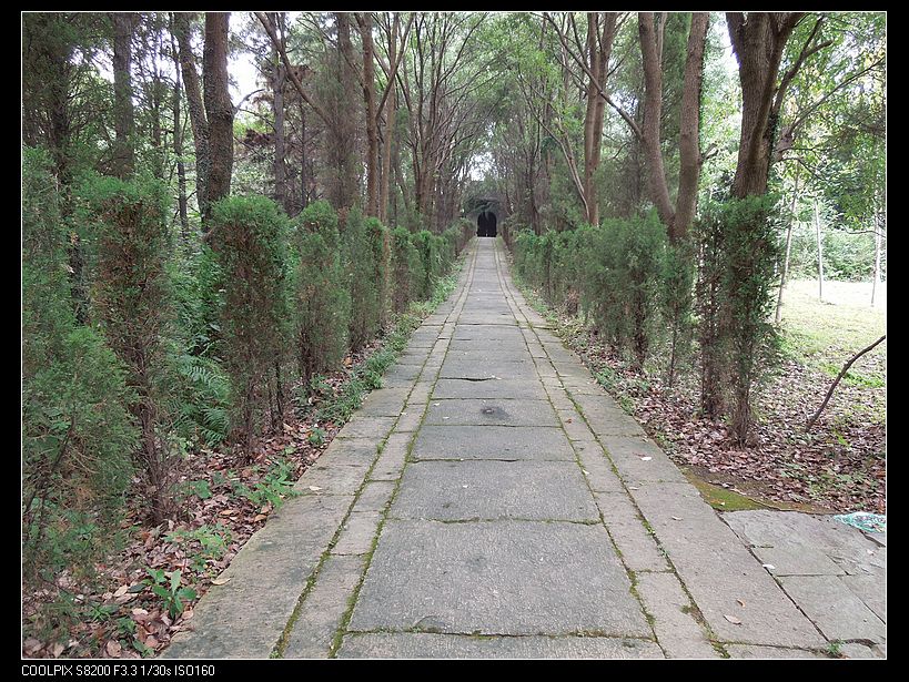 dscn1174.jpg