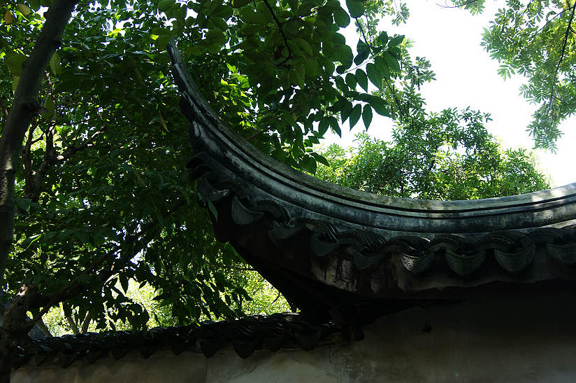 dsc01106.jpg