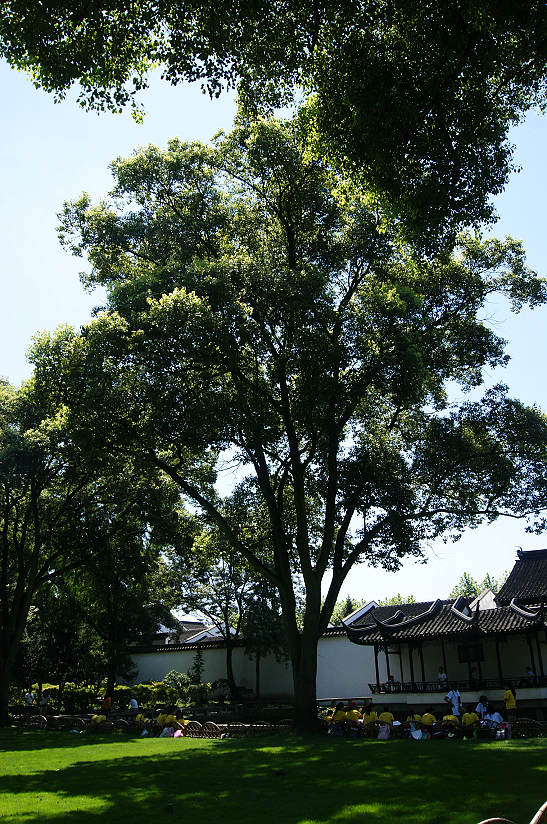 dsc01128.jpg