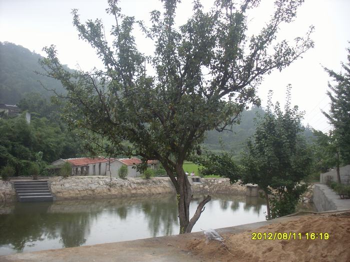 sl388526.jpg