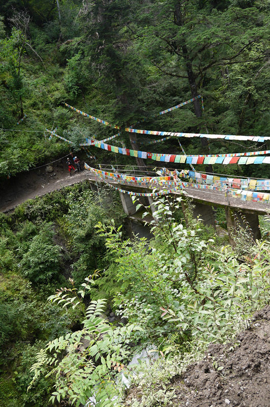 p1050228_.jpg
