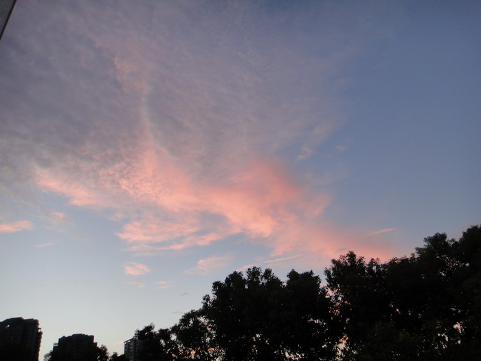 dsc03991.jpg