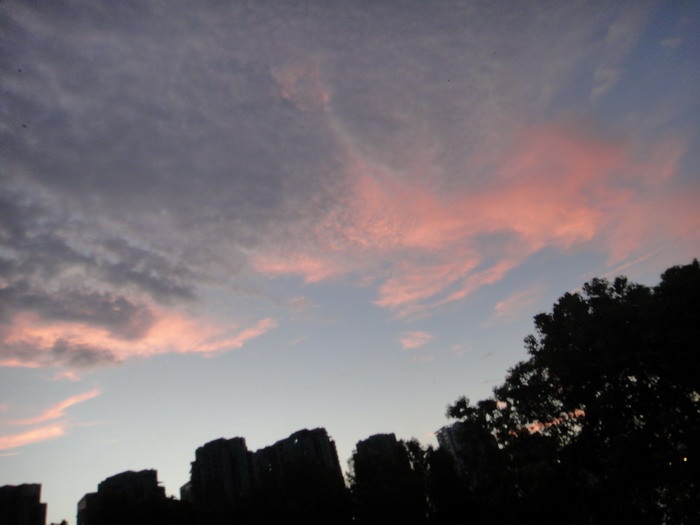 dsc03992.jpg