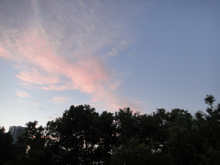 dsc03993.jpg