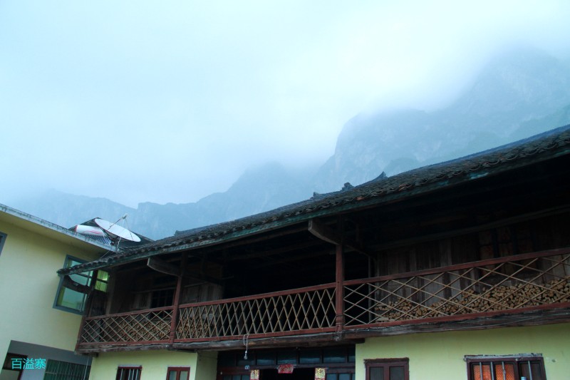 conew_img_0019.jpg