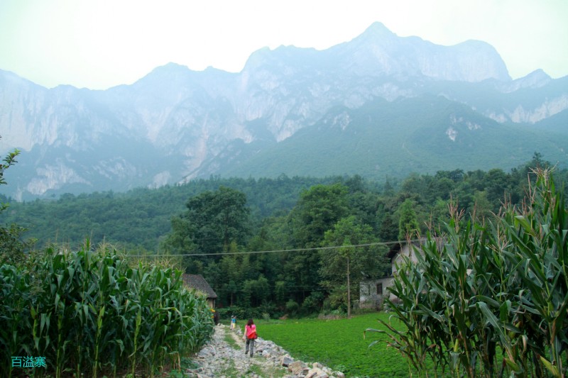 conew_img_0013.jpg