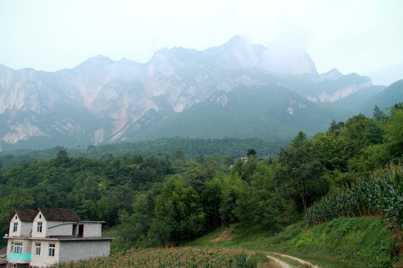 conew_img_0008.jpg