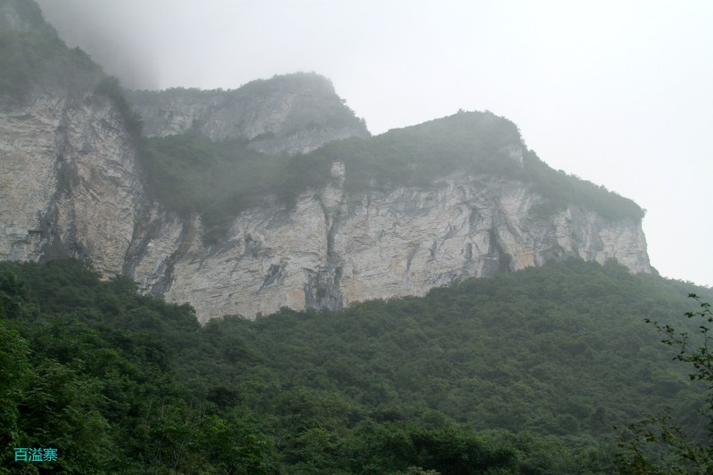 conew_img_0048.jpg