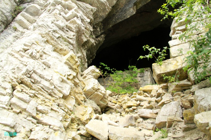 conew_img_0084.jpg