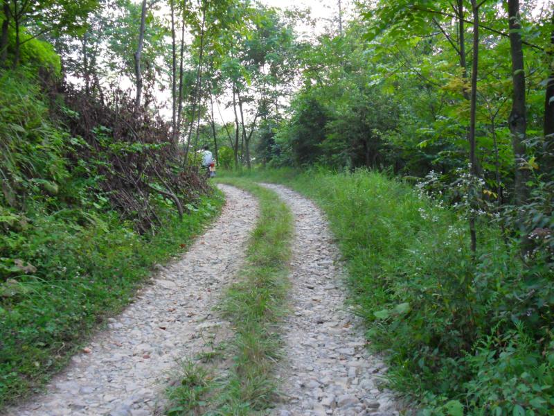 sdc10029.jpg