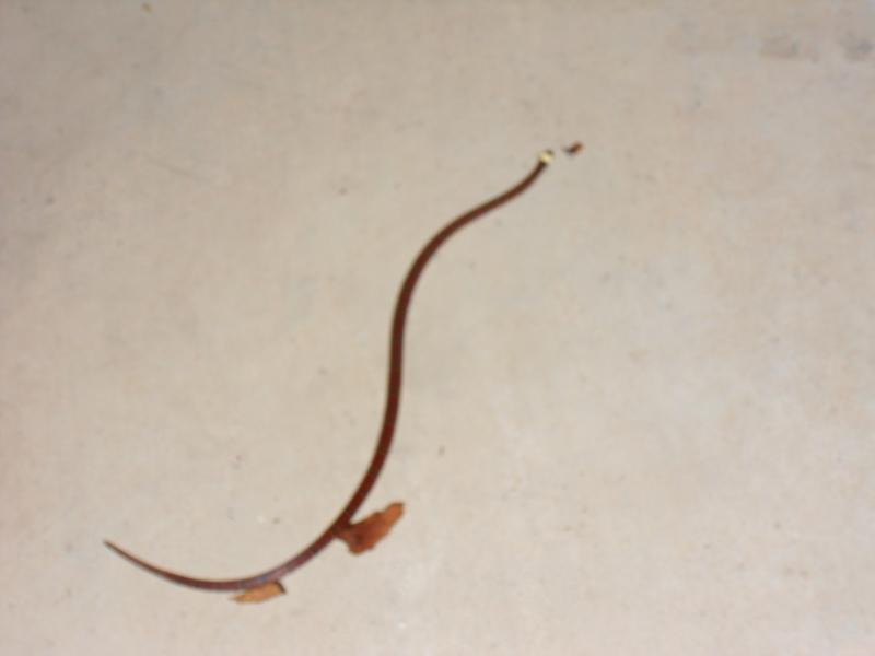 sdc10034.jpg