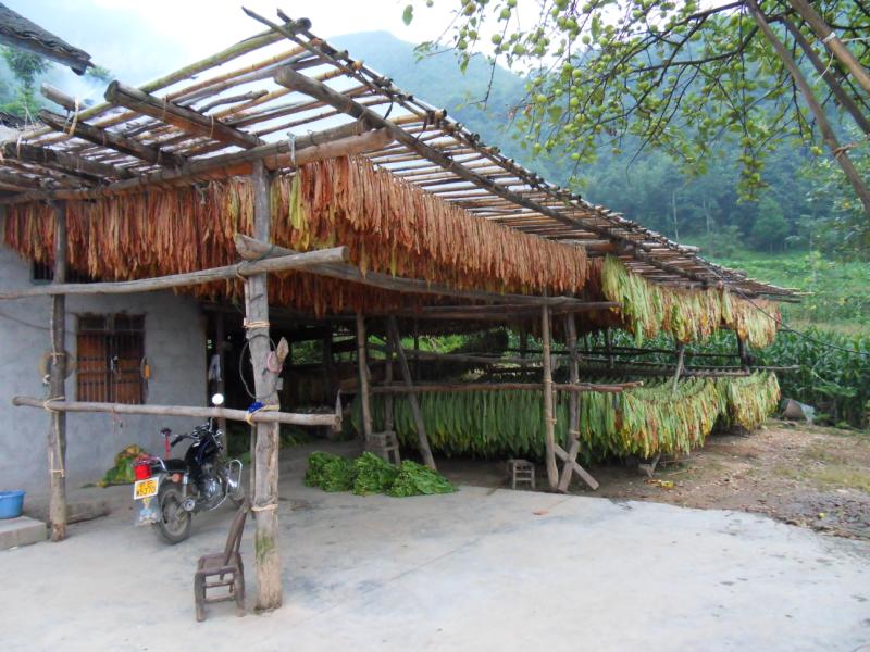 sdc10036.jpg