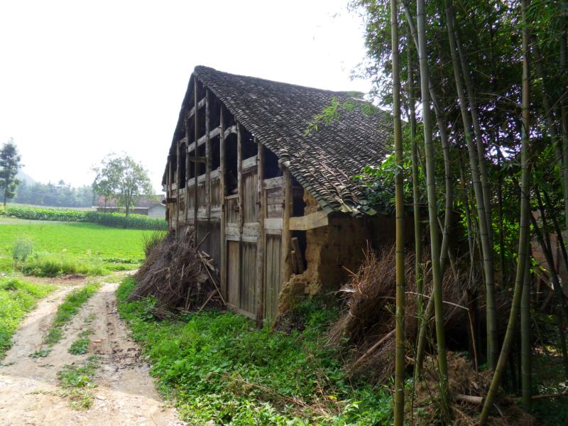 sdc10041.jpg