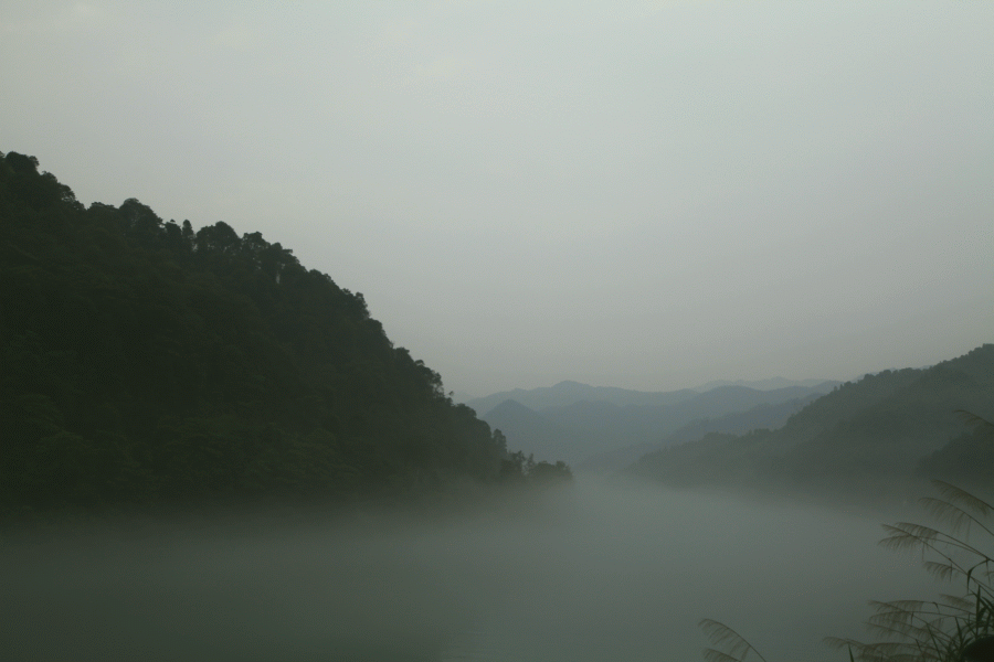 img_0650.gif