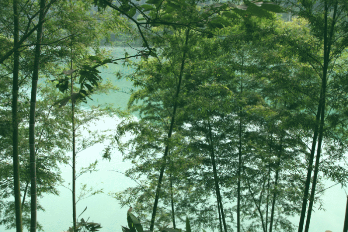 img_0882.gif