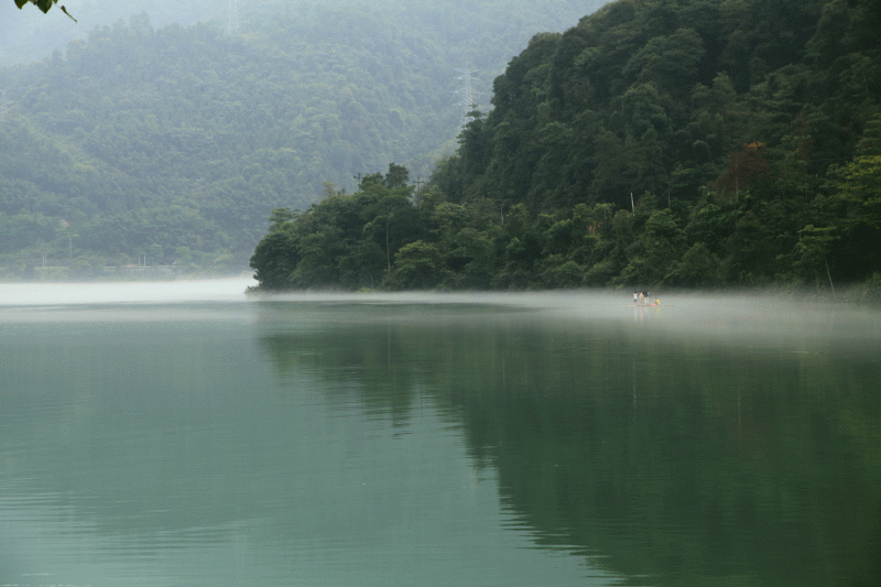 img_0893.gif