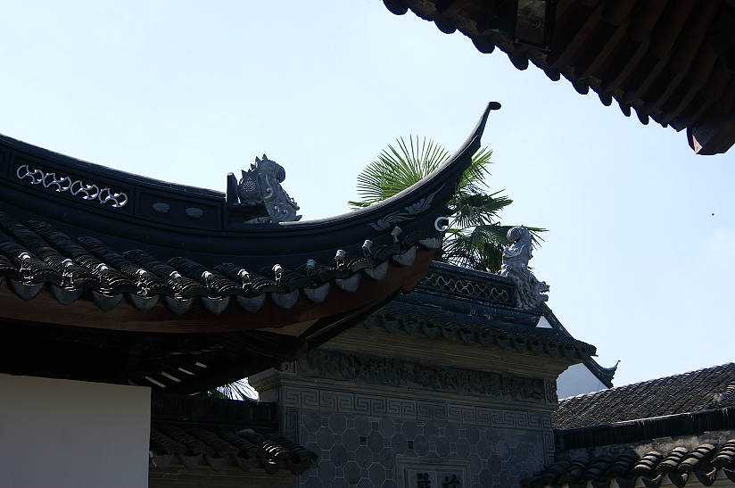 dsc01235.jpg