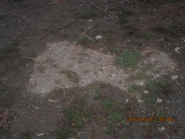 img_0155.jpg
