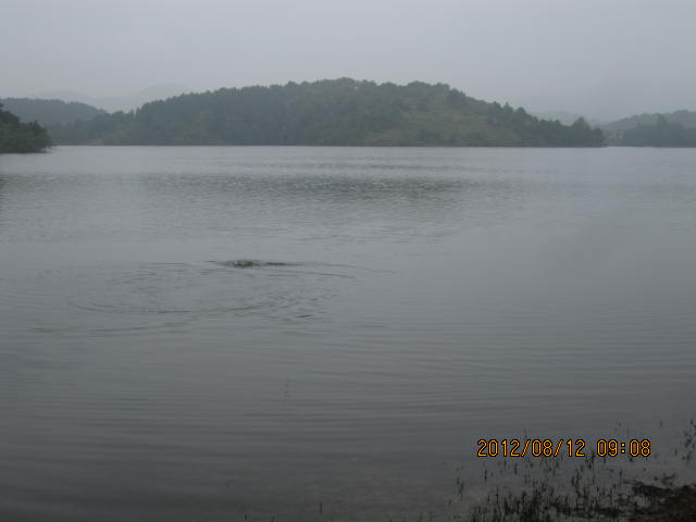 img_0172.jpg