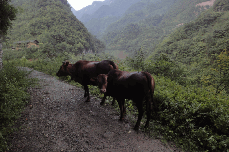 dsc00216.gif