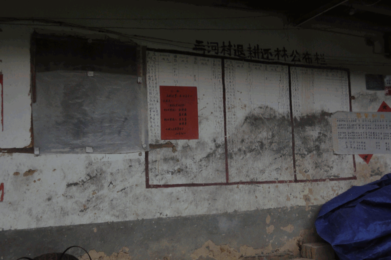 dsc00217.gif