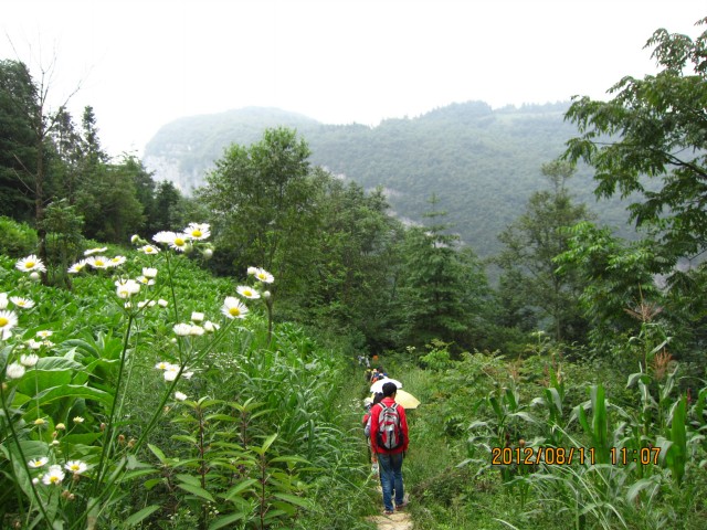 img_8935.jpg