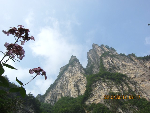 img_9503.jpg