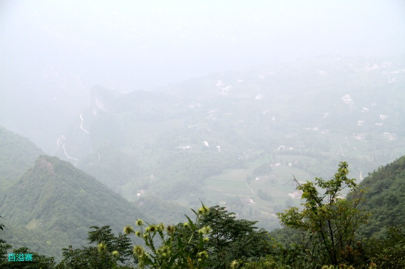 conew_img_0128.jpg