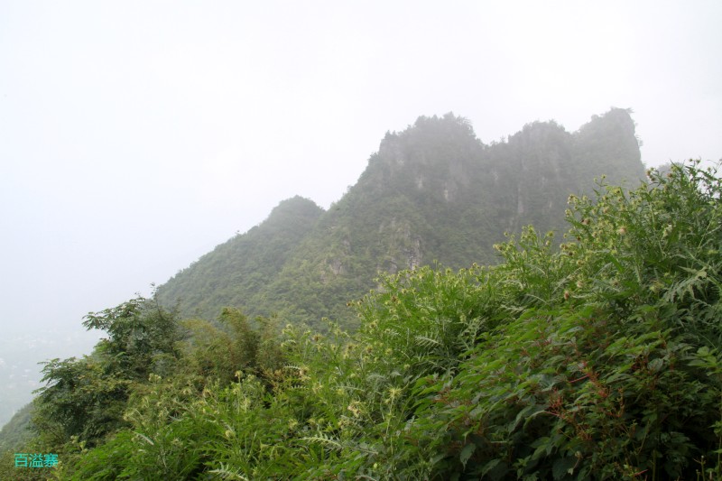 conew_img_0130.jpg