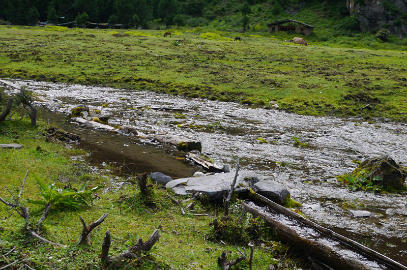 p1050269_.jpg