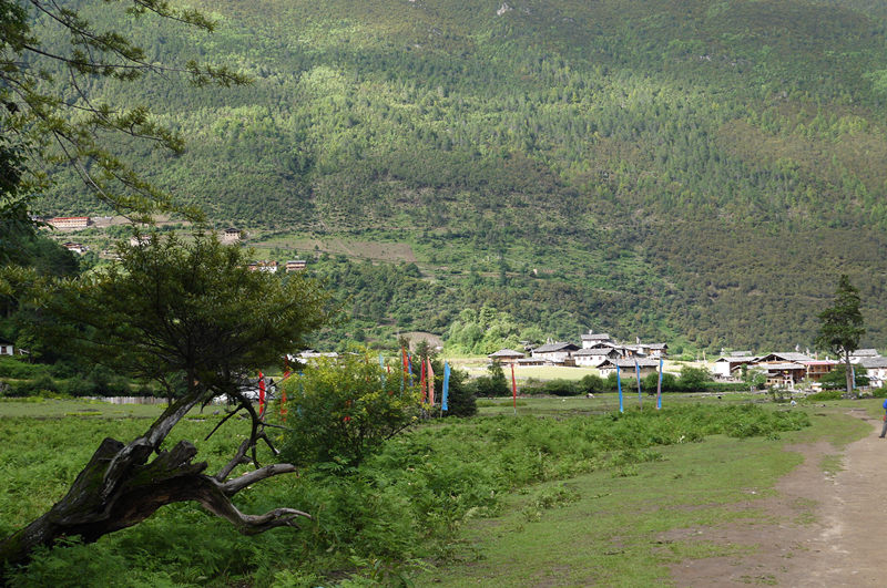 p1050299_.jpg
