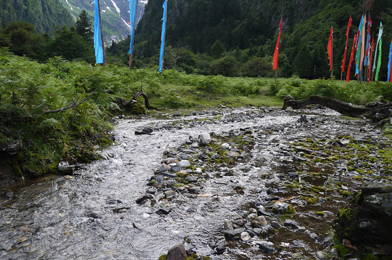 p1050307_.jpg
