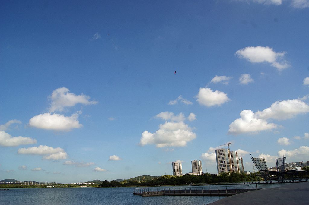 dsc01313.jpg