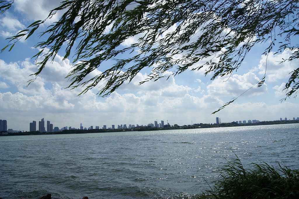 dsc01340.jpg