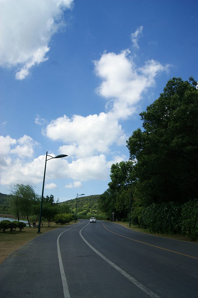 dsc01347.jpg