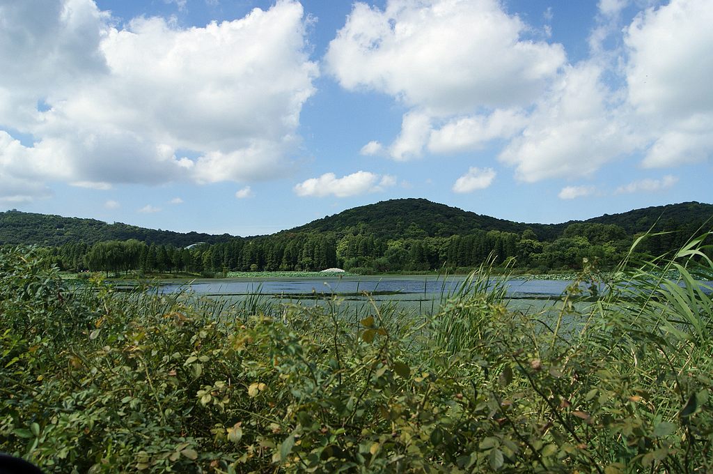 dsc01366.jpg