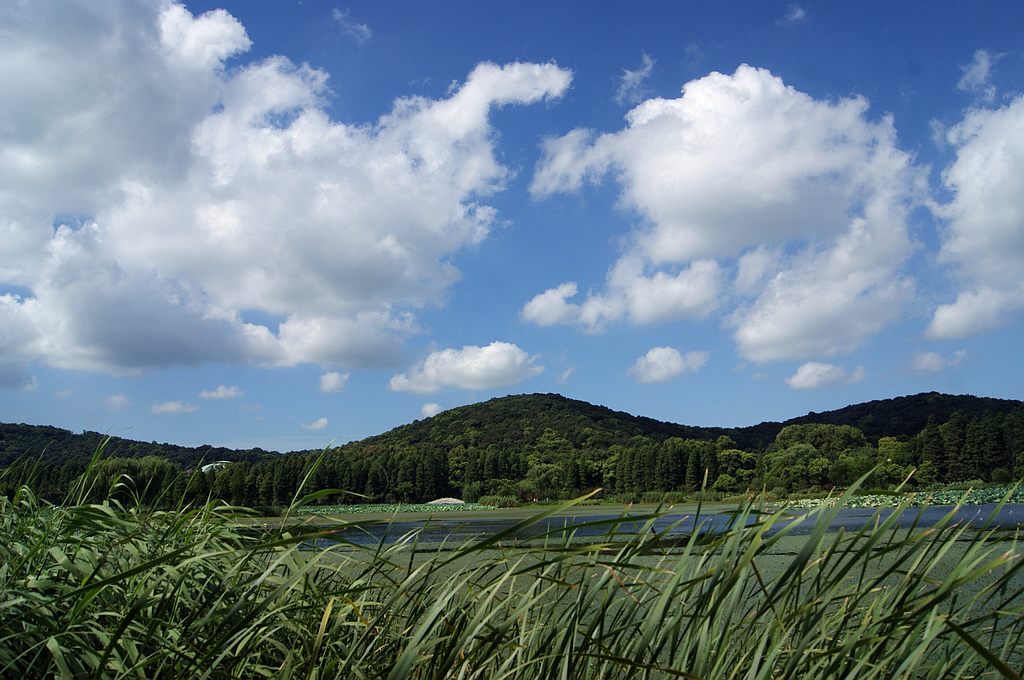 dsc01370.jpg